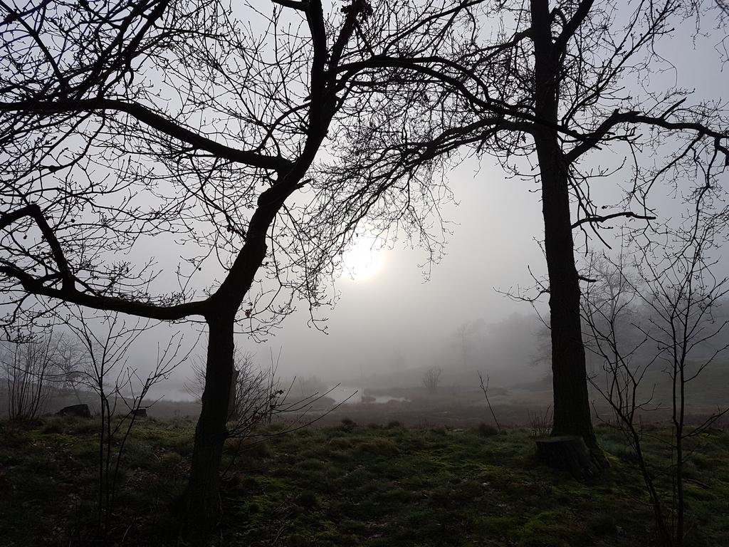 Фото B&b De Valendries