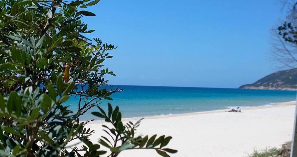 Фото B&b Helichrysum