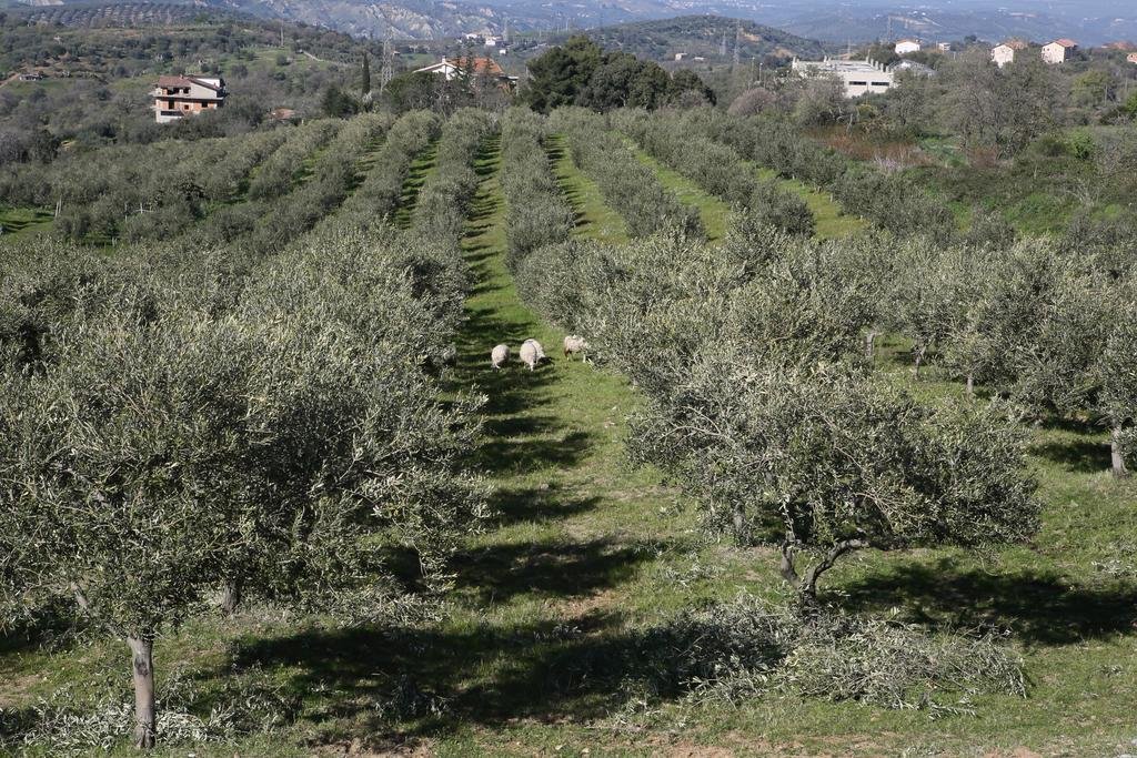 Фото La Giara B&b