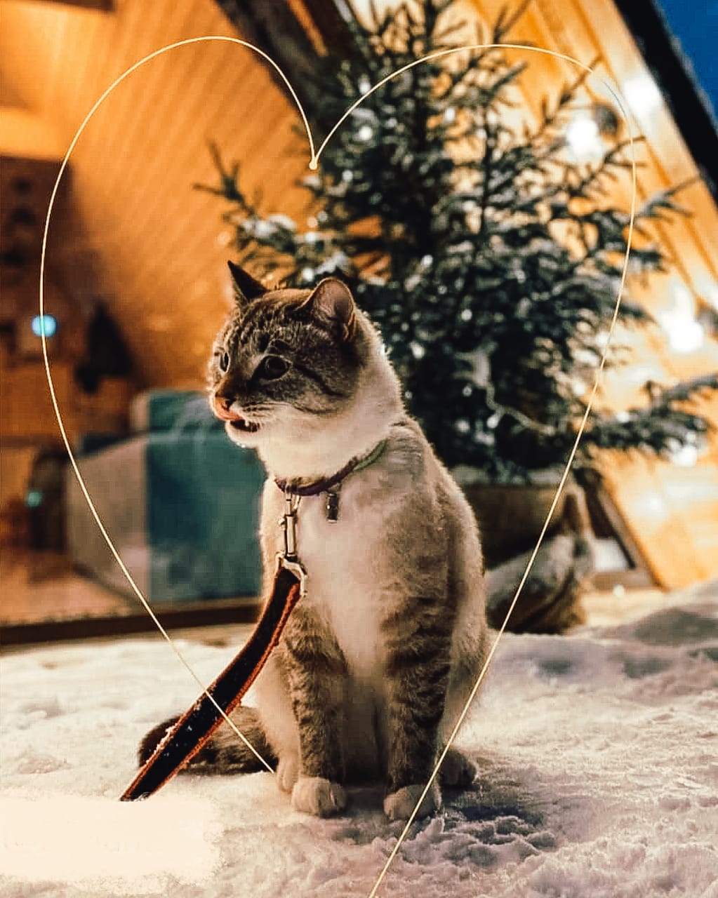 Фото Дом Грёз Тихое место