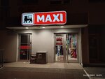 Maxi (Mileve Maric Ajnstajn Street, 80), supermarket