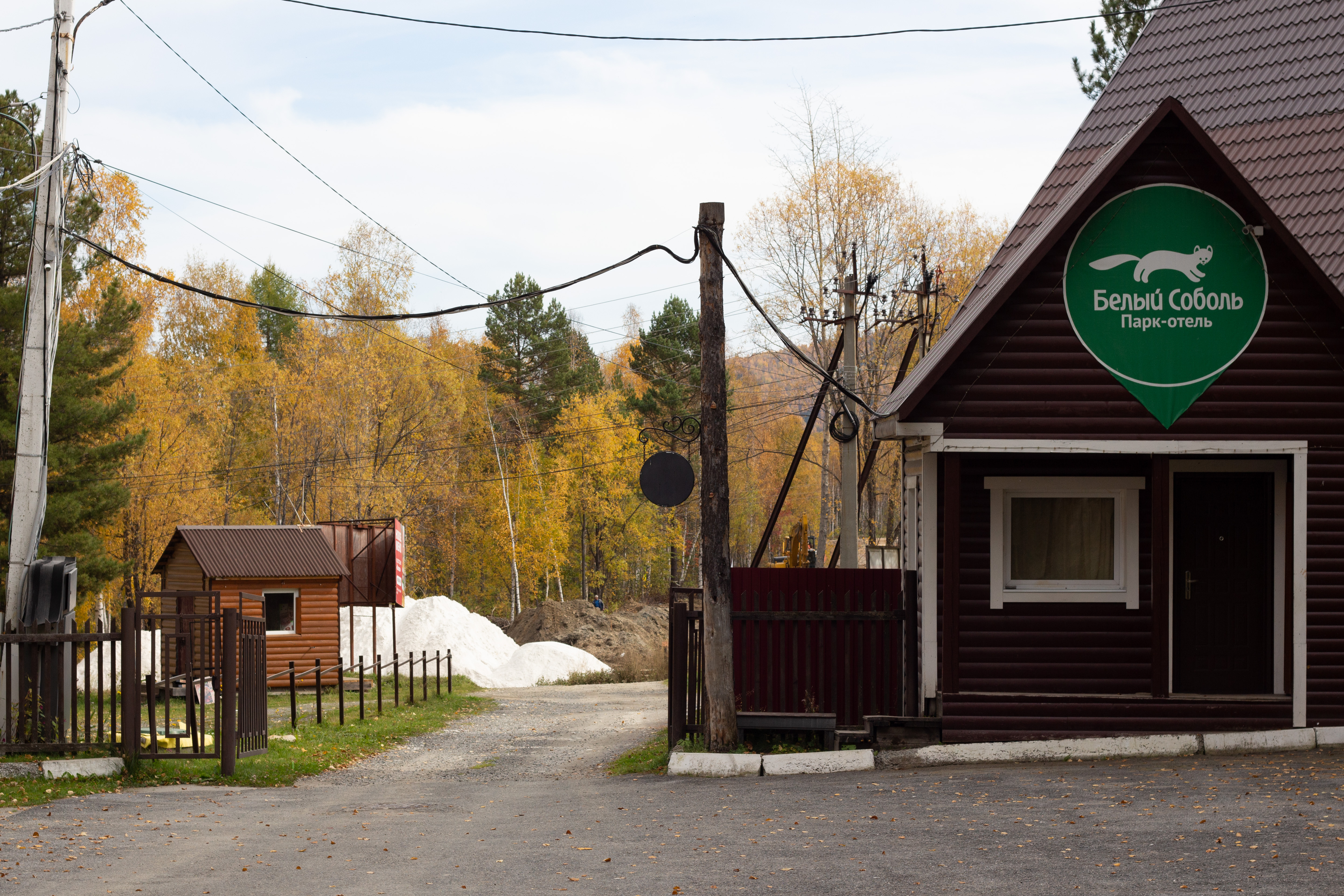 Фото Белый соболь