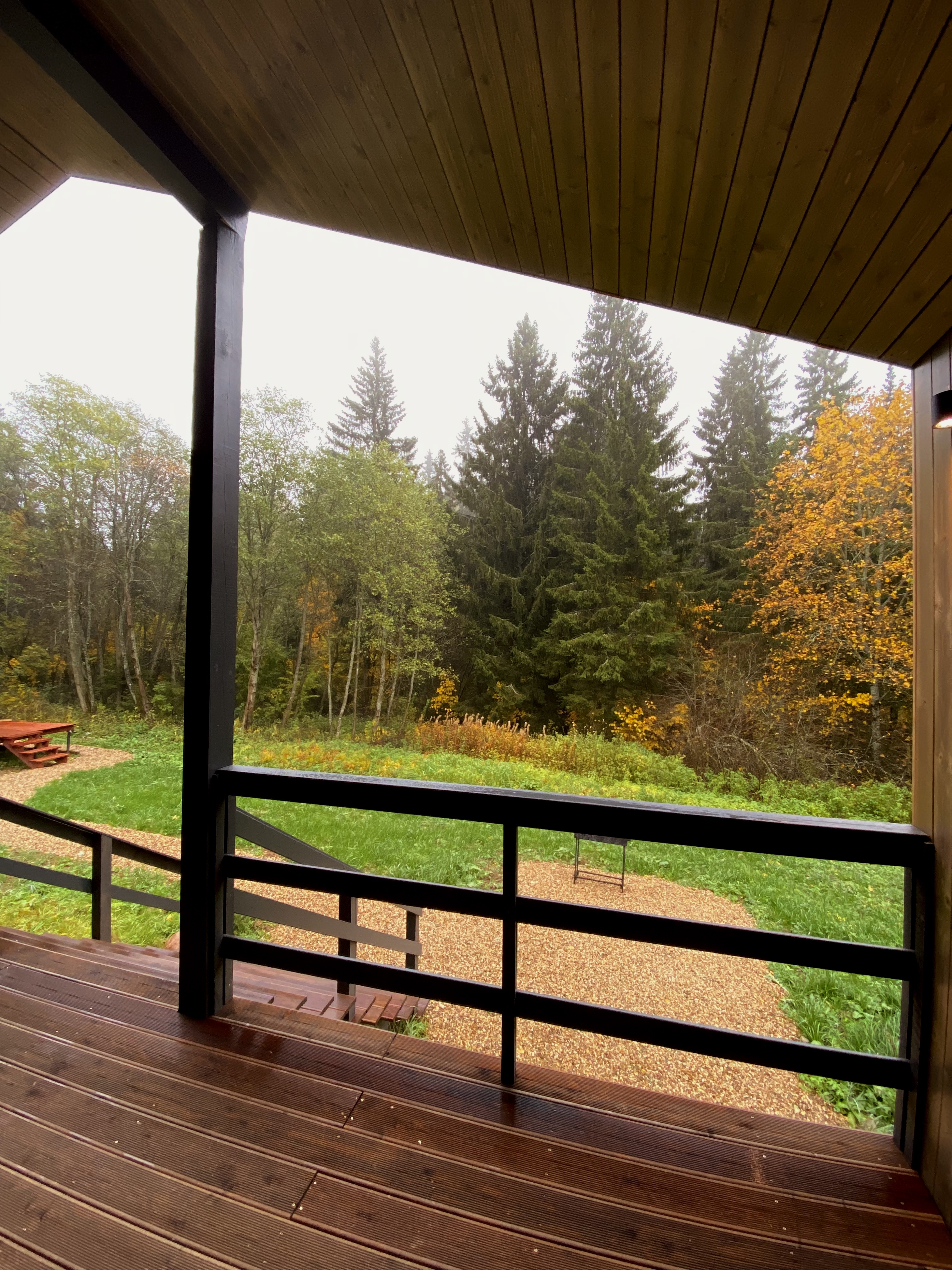 Фото Pine Forest