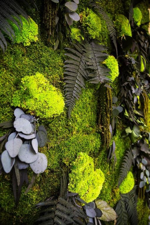 Фото Aeterno Eco Guest House