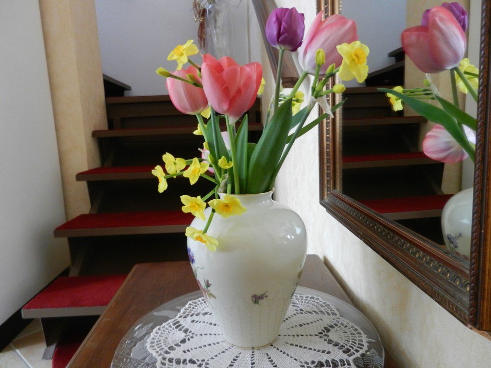 Фото B&b Casanonni Borgo Angeli