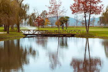 Фото Hotel Splendid