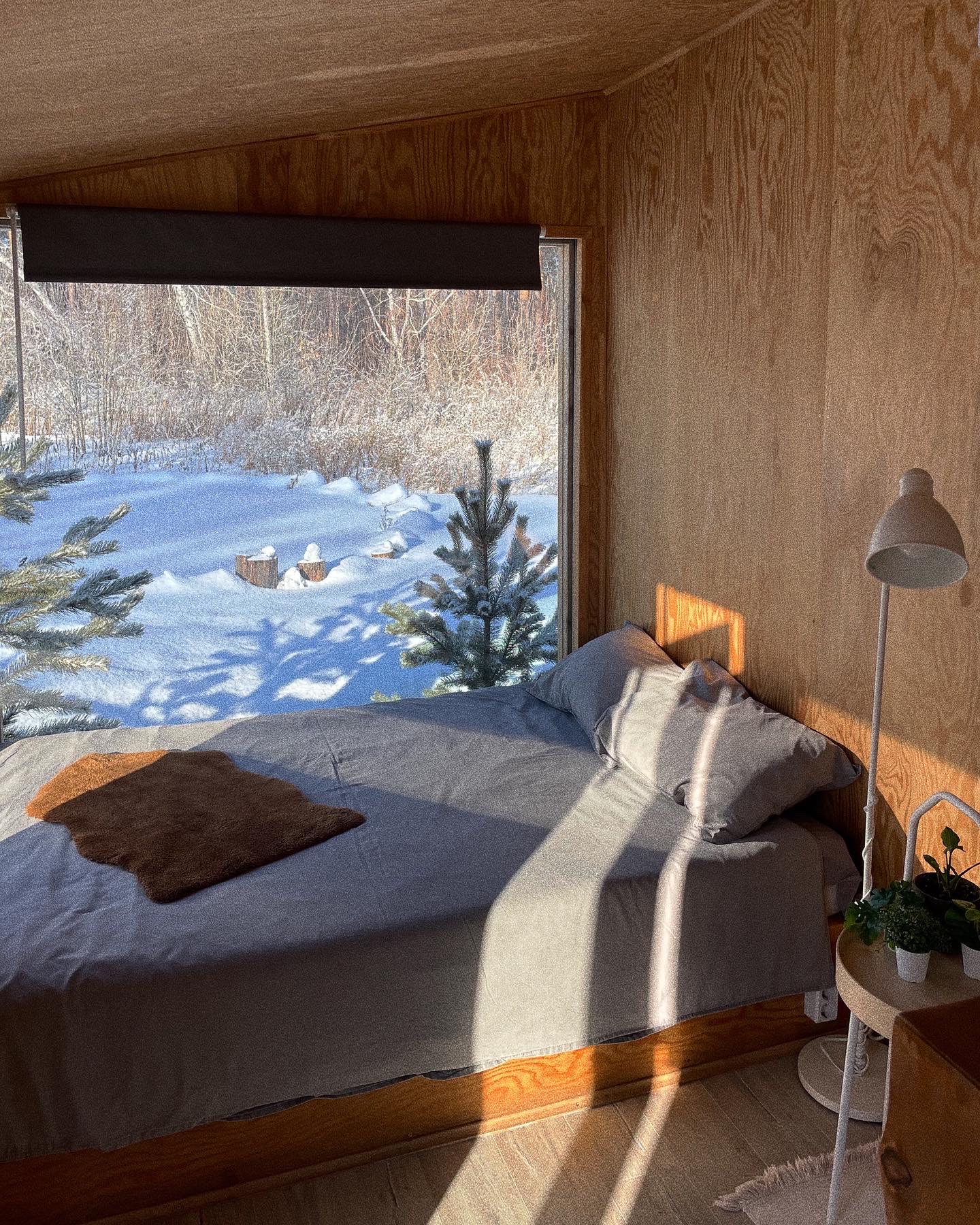 Фото Проект Vozdukh