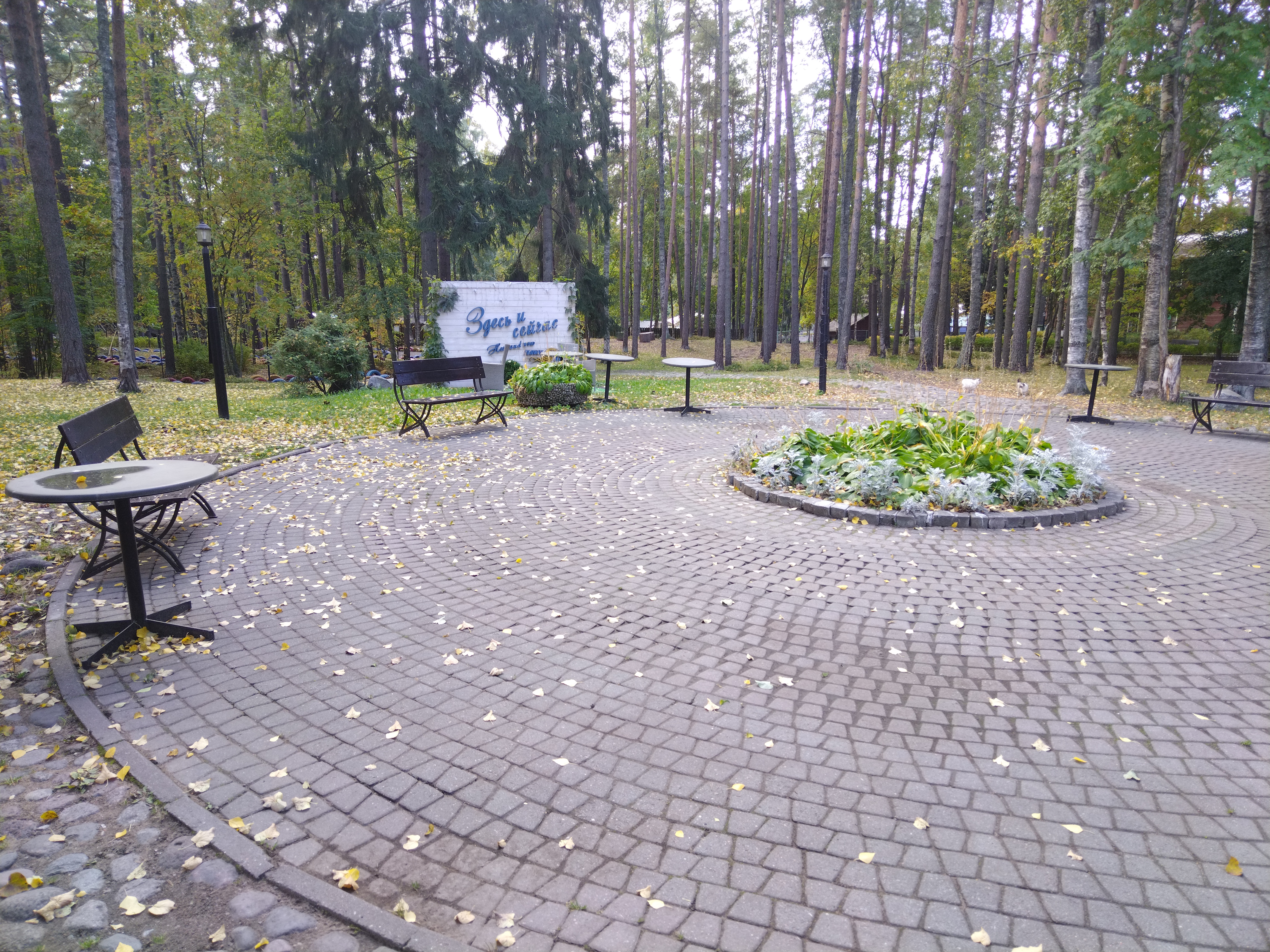 Фото Гелиос