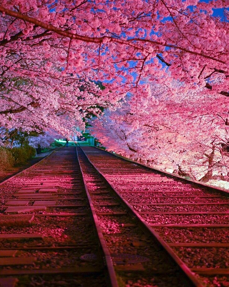 Supermarket Jumuna Future Park, Dhaka, photo