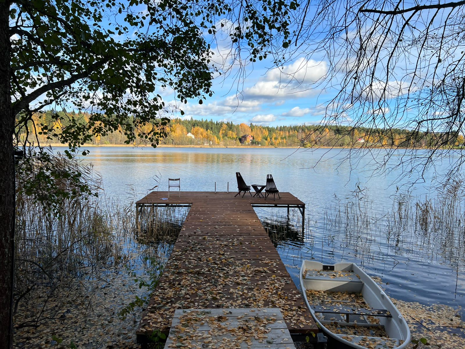 Фото Избушки на опушке