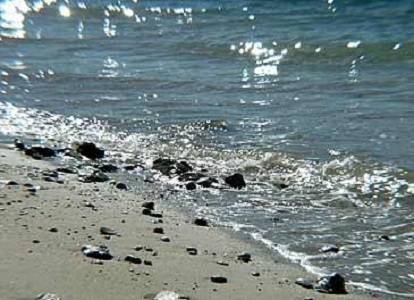 Фото Villa Elvira