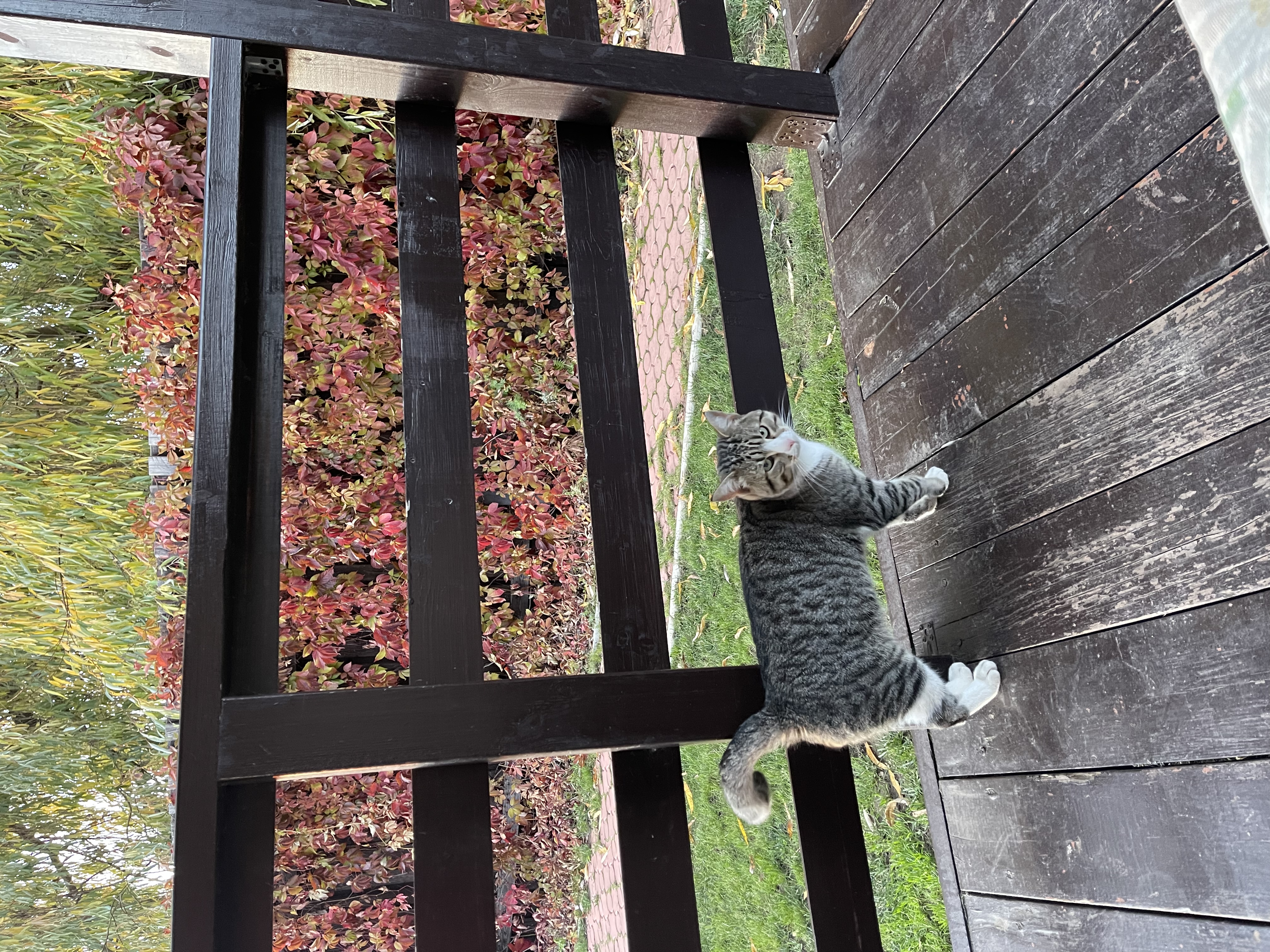 Фото Домики у Пляжа