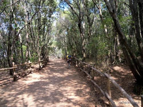 Фото Hotel Parco delle Cale