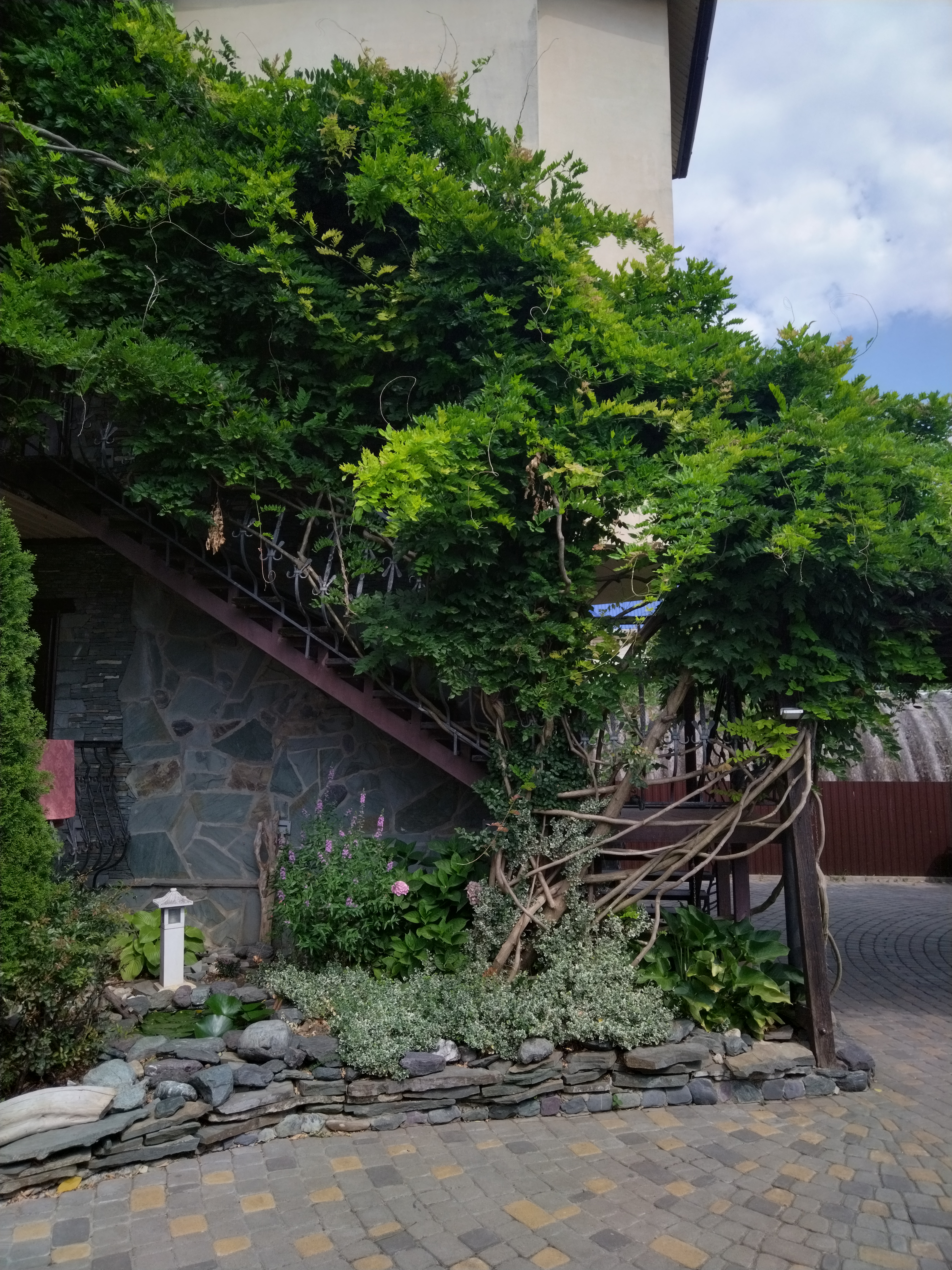 Фото У Антонины