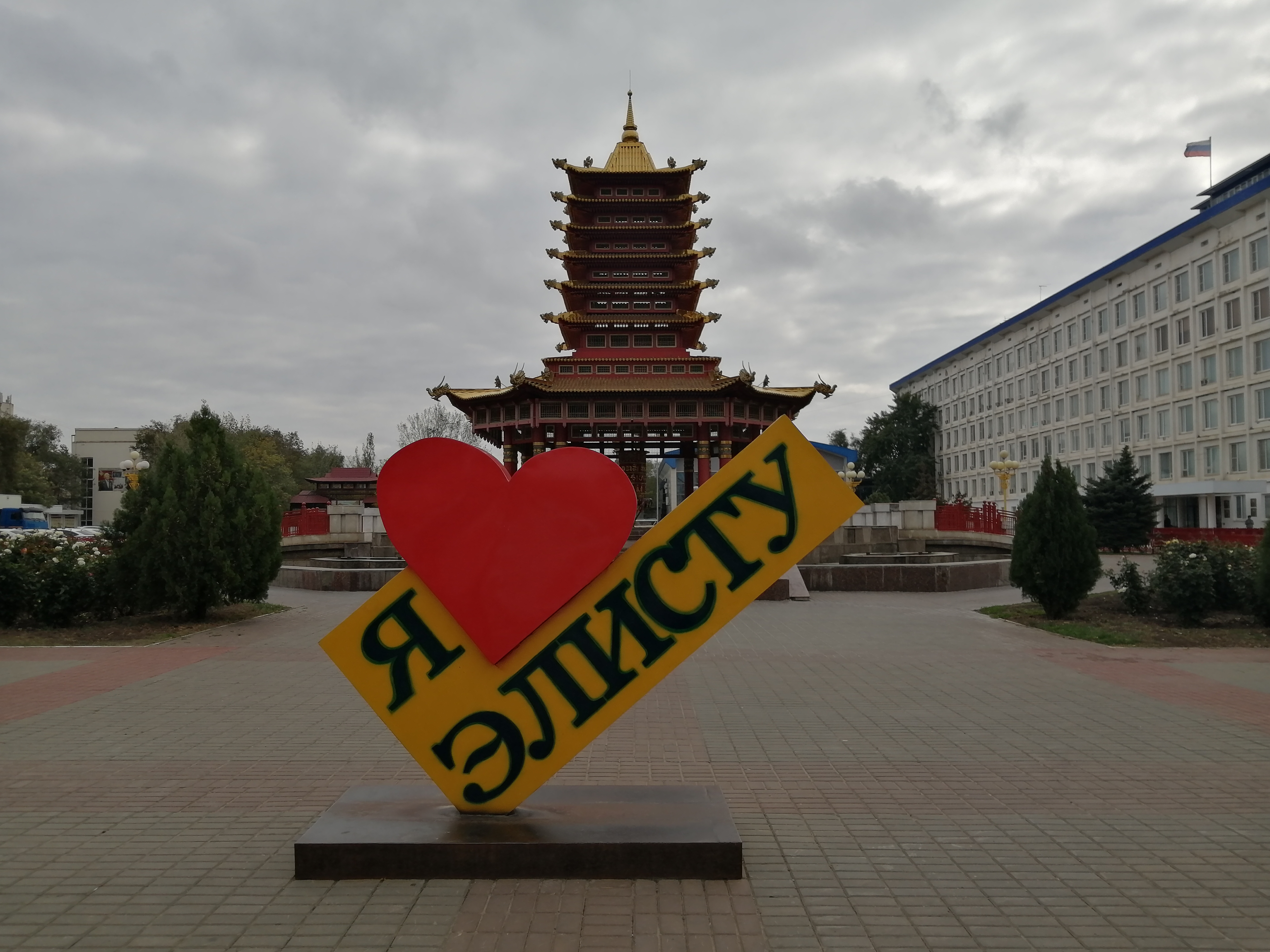 Фото Белый лотос