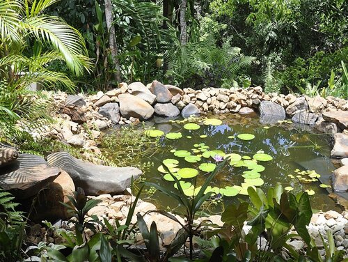Гостиница Tropical Bliss Bed and Breakfast