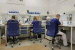 Andromeda (Kukshumskaya Street, 9), dental laboratory
