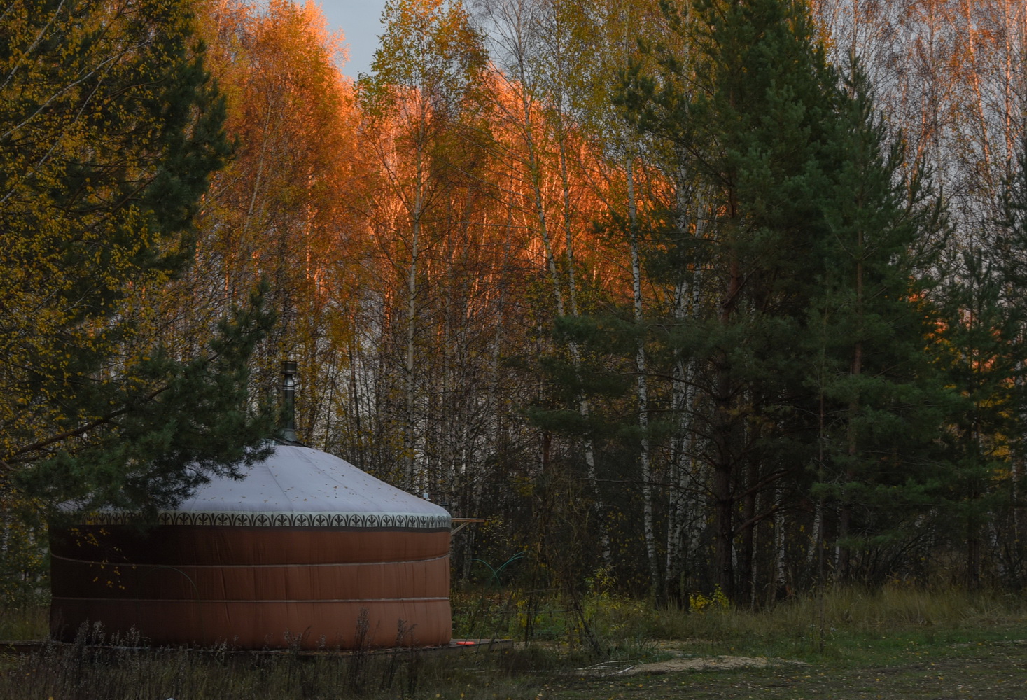 Фото В гостях у Лешего