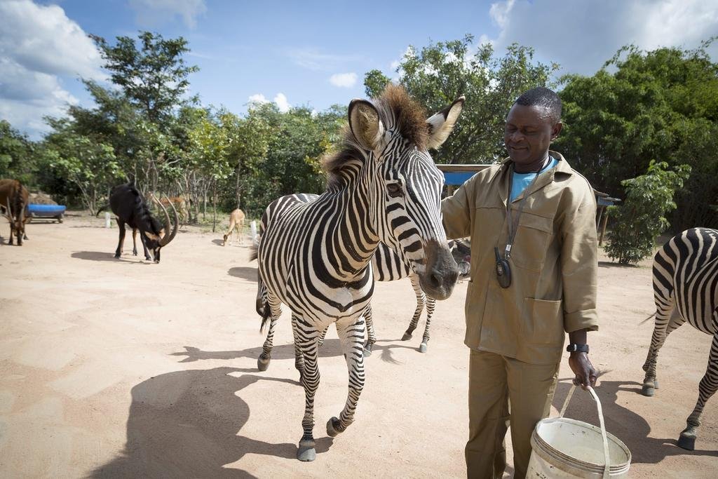 Фото Mokorro Game Ranch and Lodge