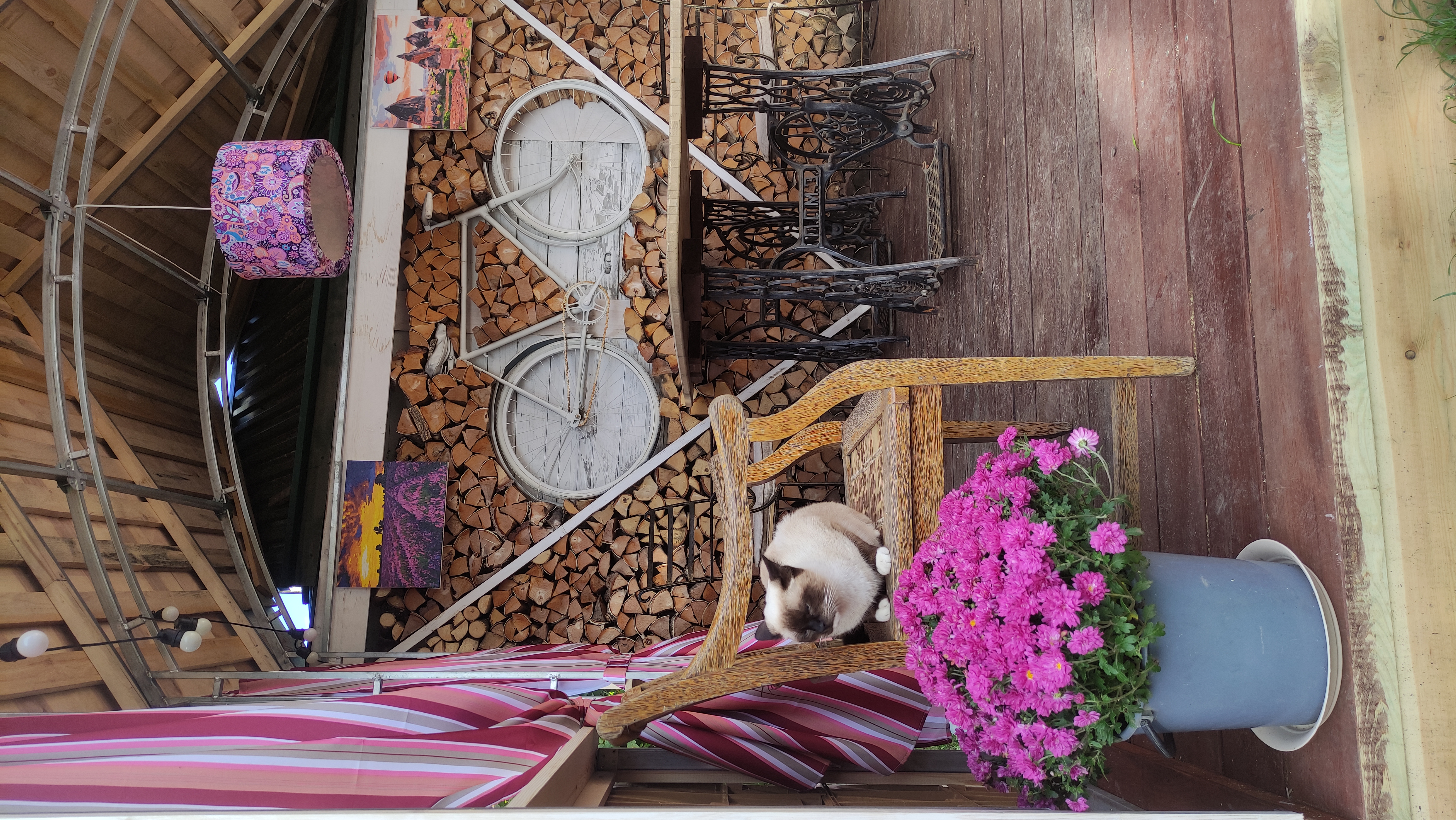 Фото Лисапедово