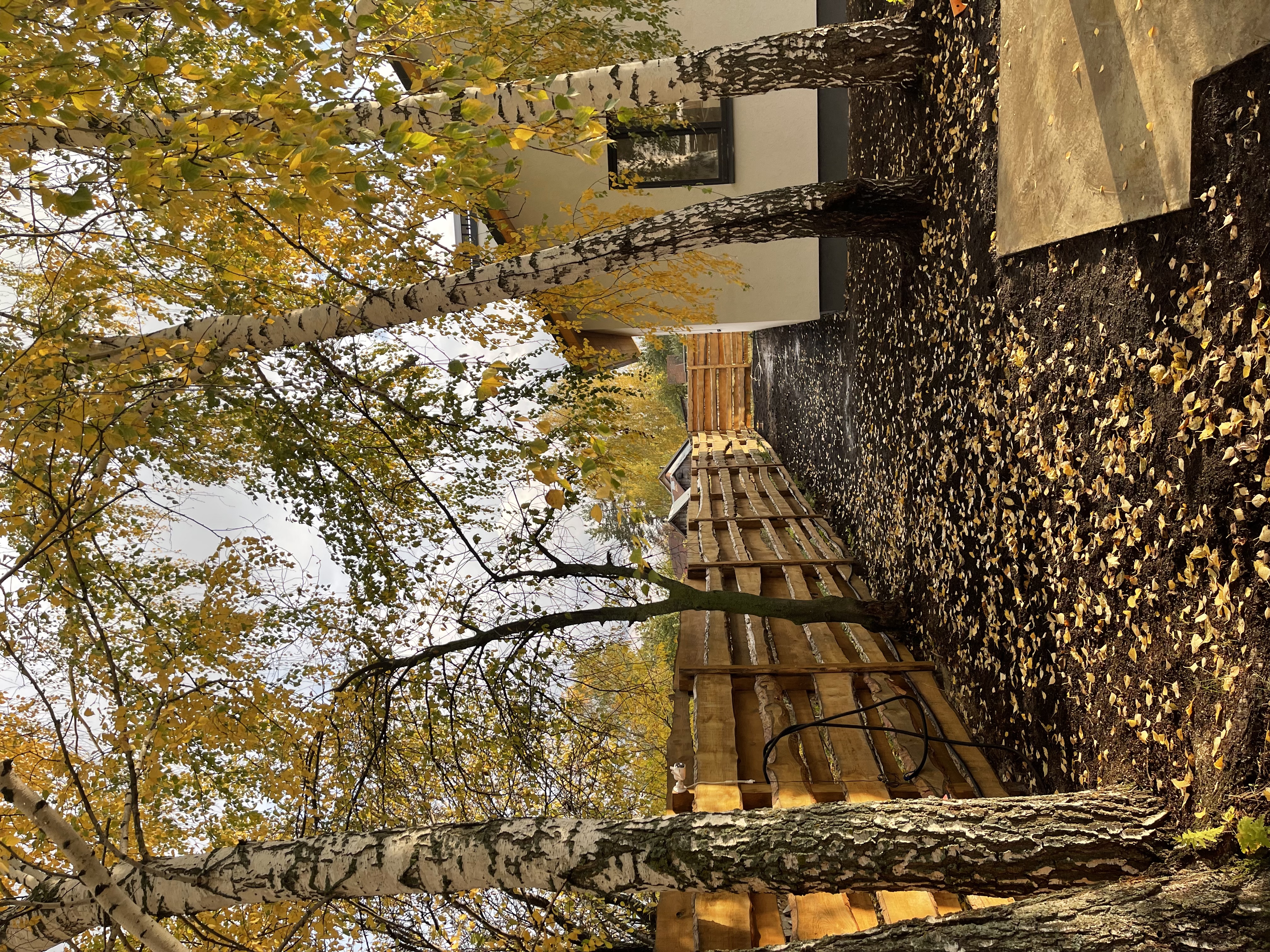 Фото Scandi House