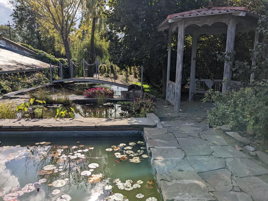 Парк культуры и отдыха Волгоградский региональный ботанический сад, Волгоград, фото