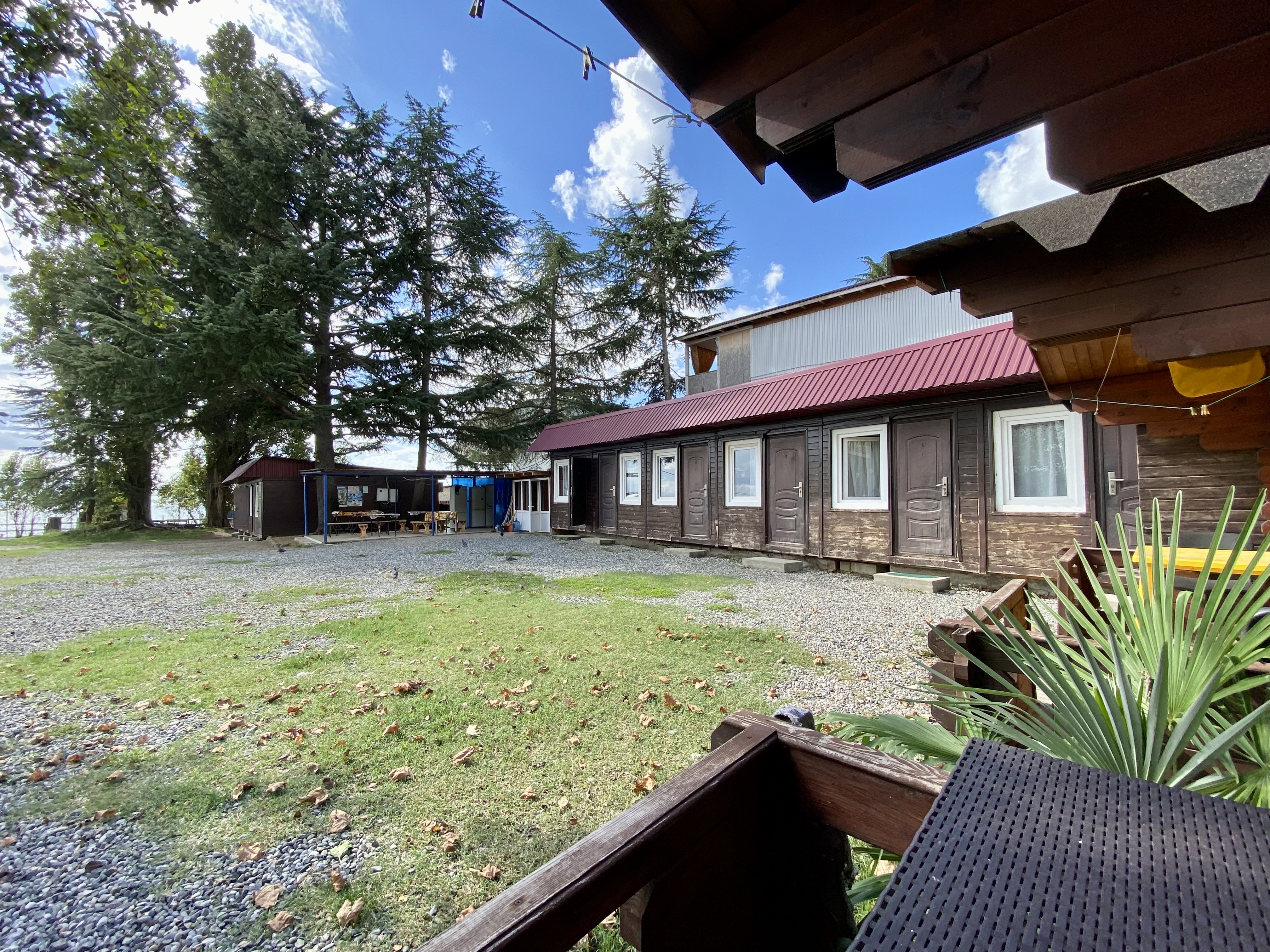 Фото Три Тополя