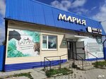 Bagira (selo Isetskoye, Pervomayskaya ulitsa, 32), hairdresser