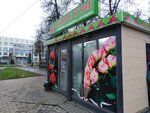 Flowers (Chaadaeva Street, 7Б), flower shop