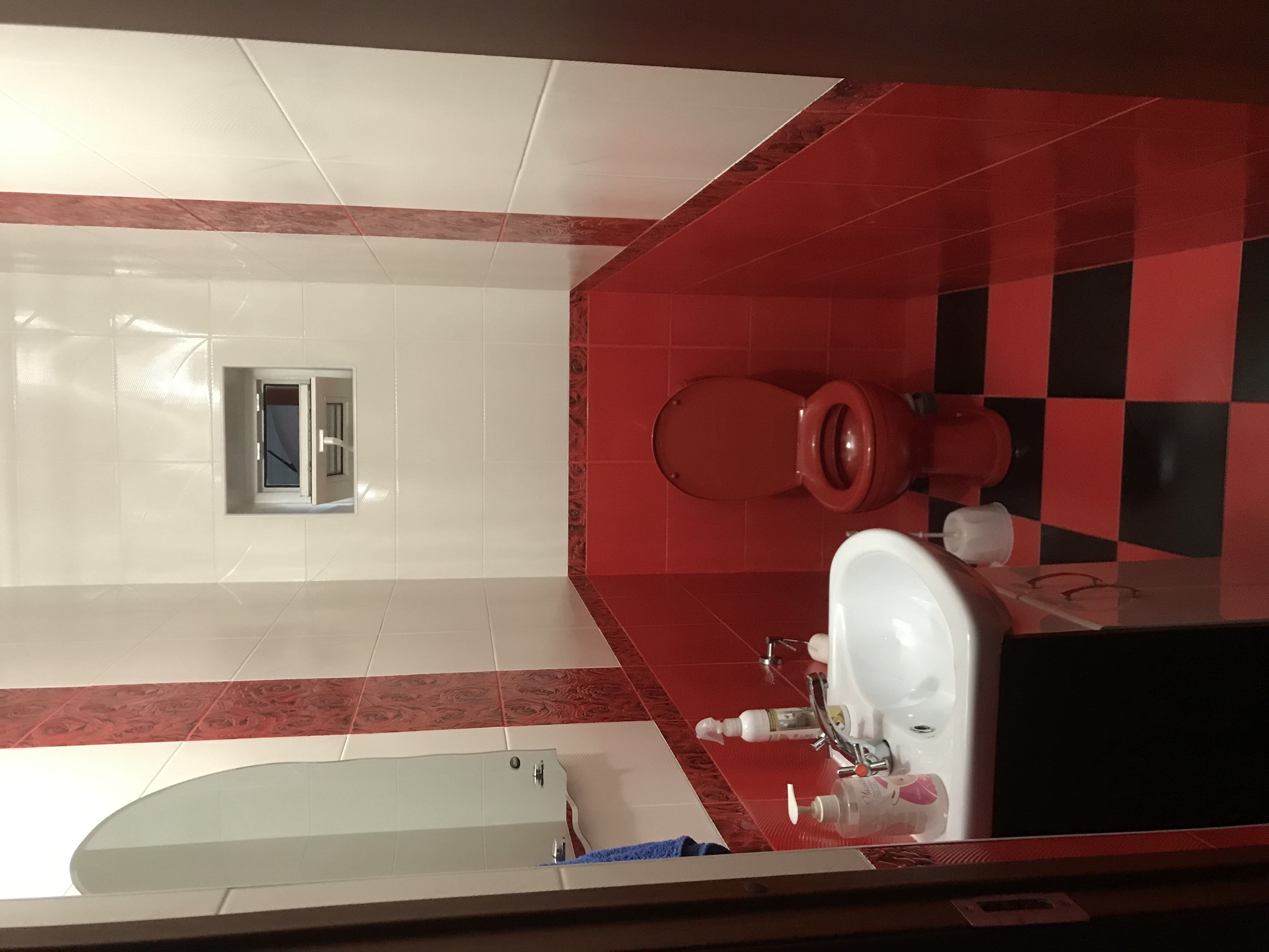 Фото Беркут