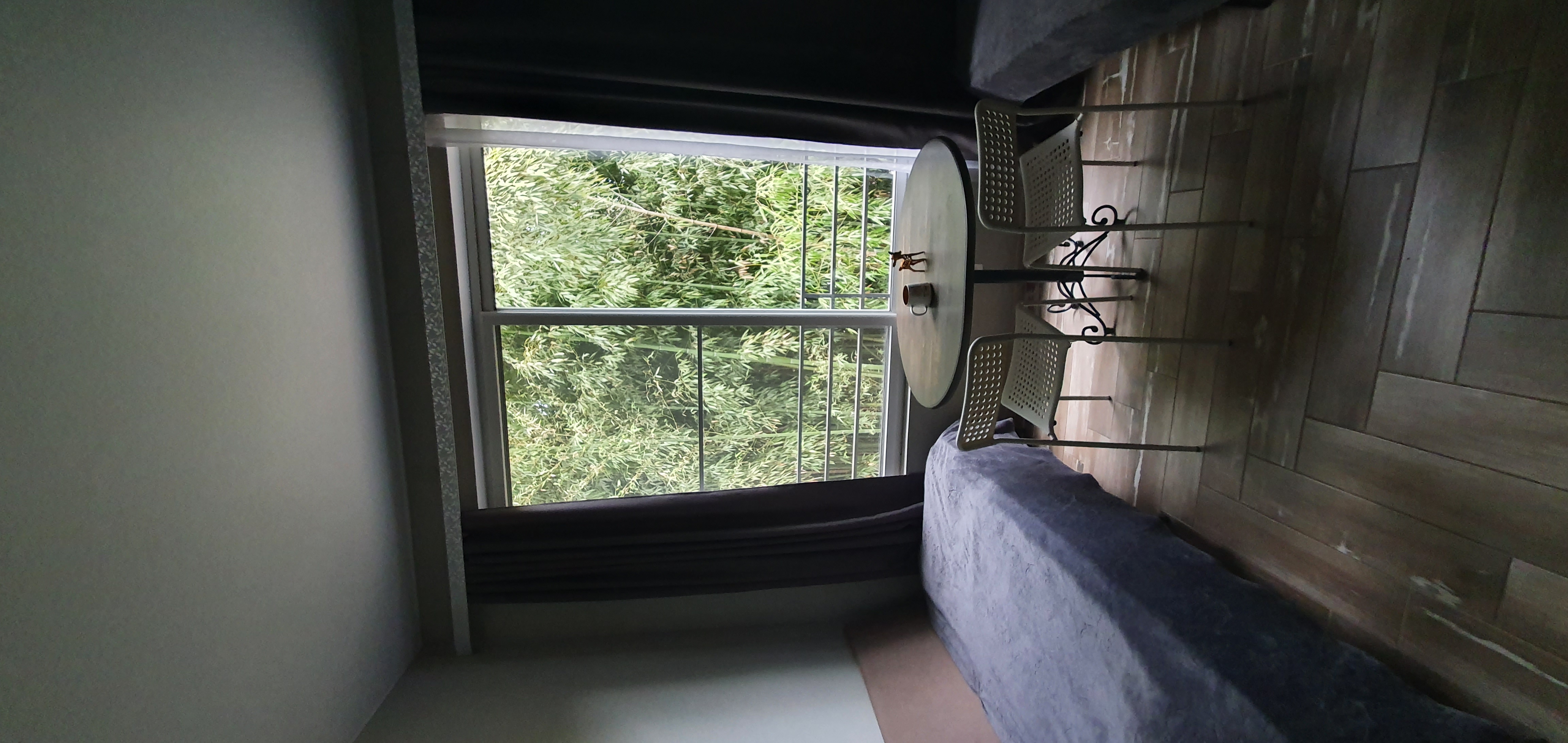 Фото Бамбуковая Роща