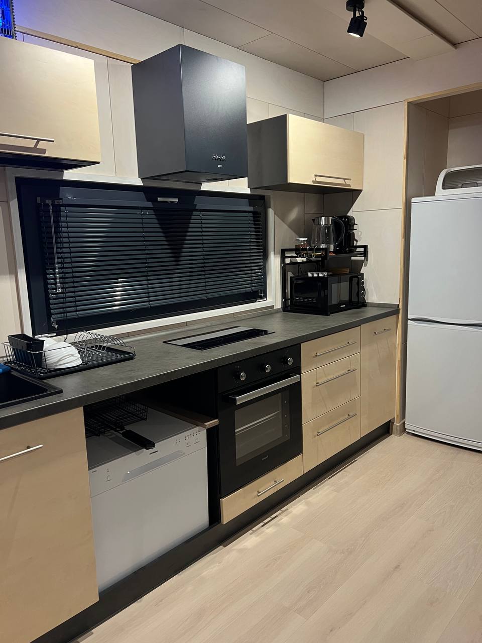 Фото Зеленый лес