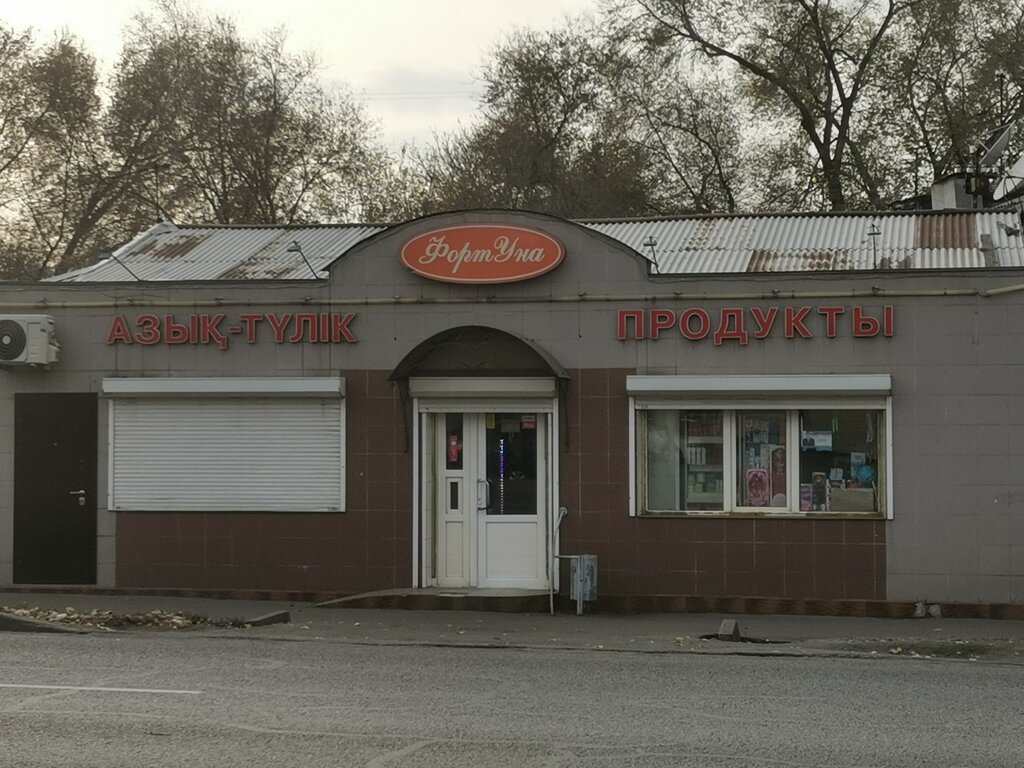 Payment terminal Qiwi, Almaty, photo