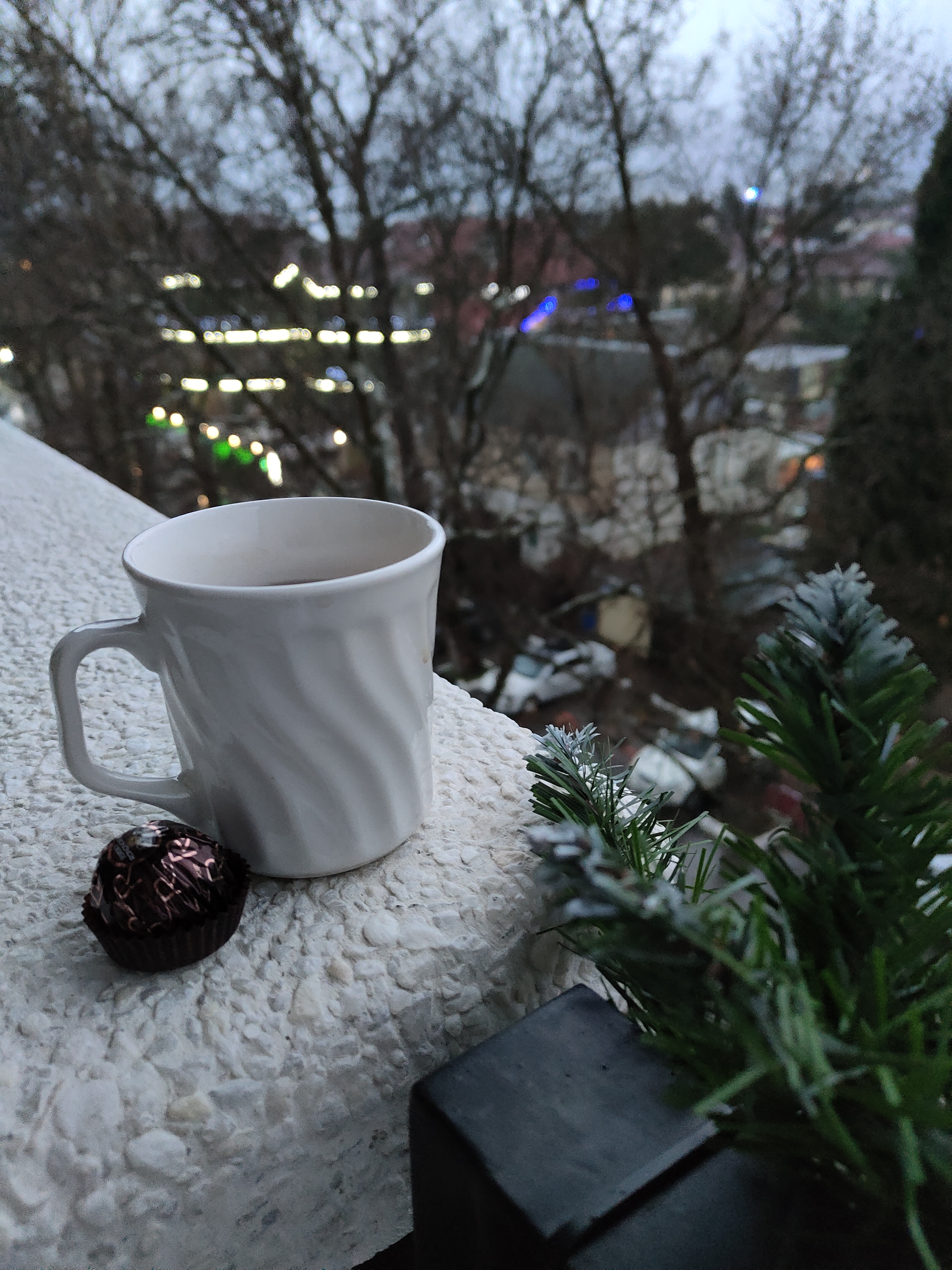 Фото Трианон