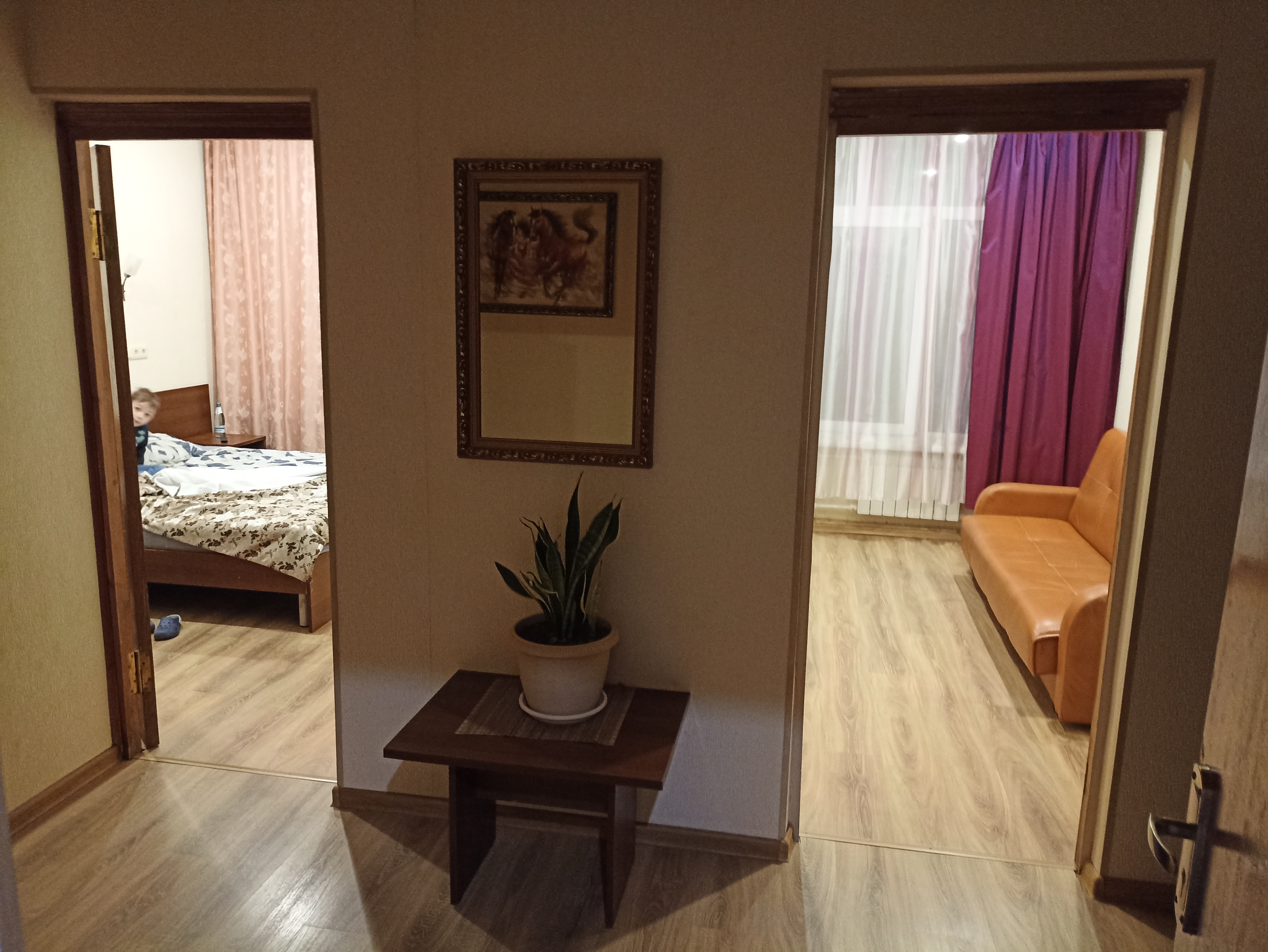 Фото Ковчег