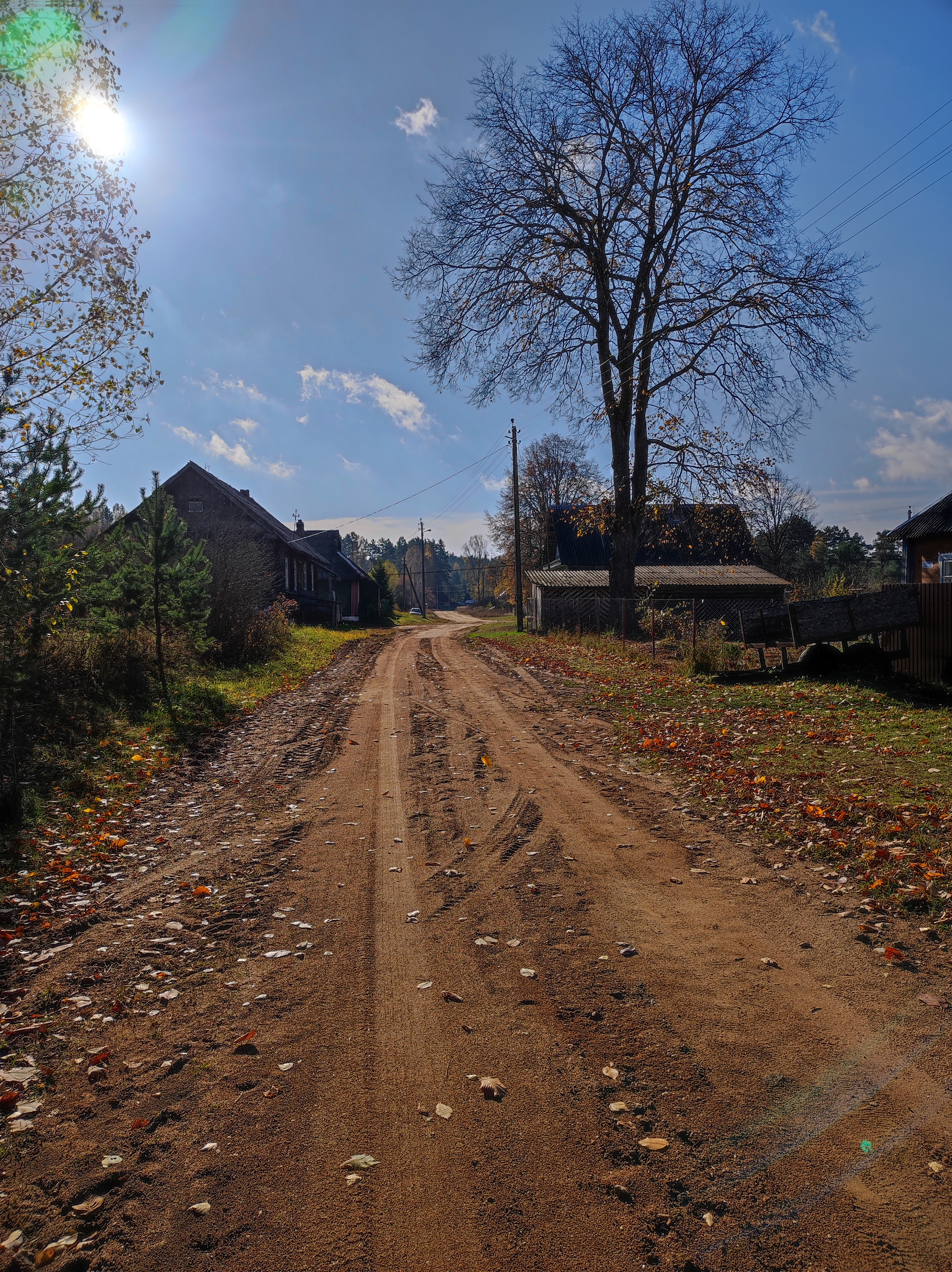 Фото Зеленьково