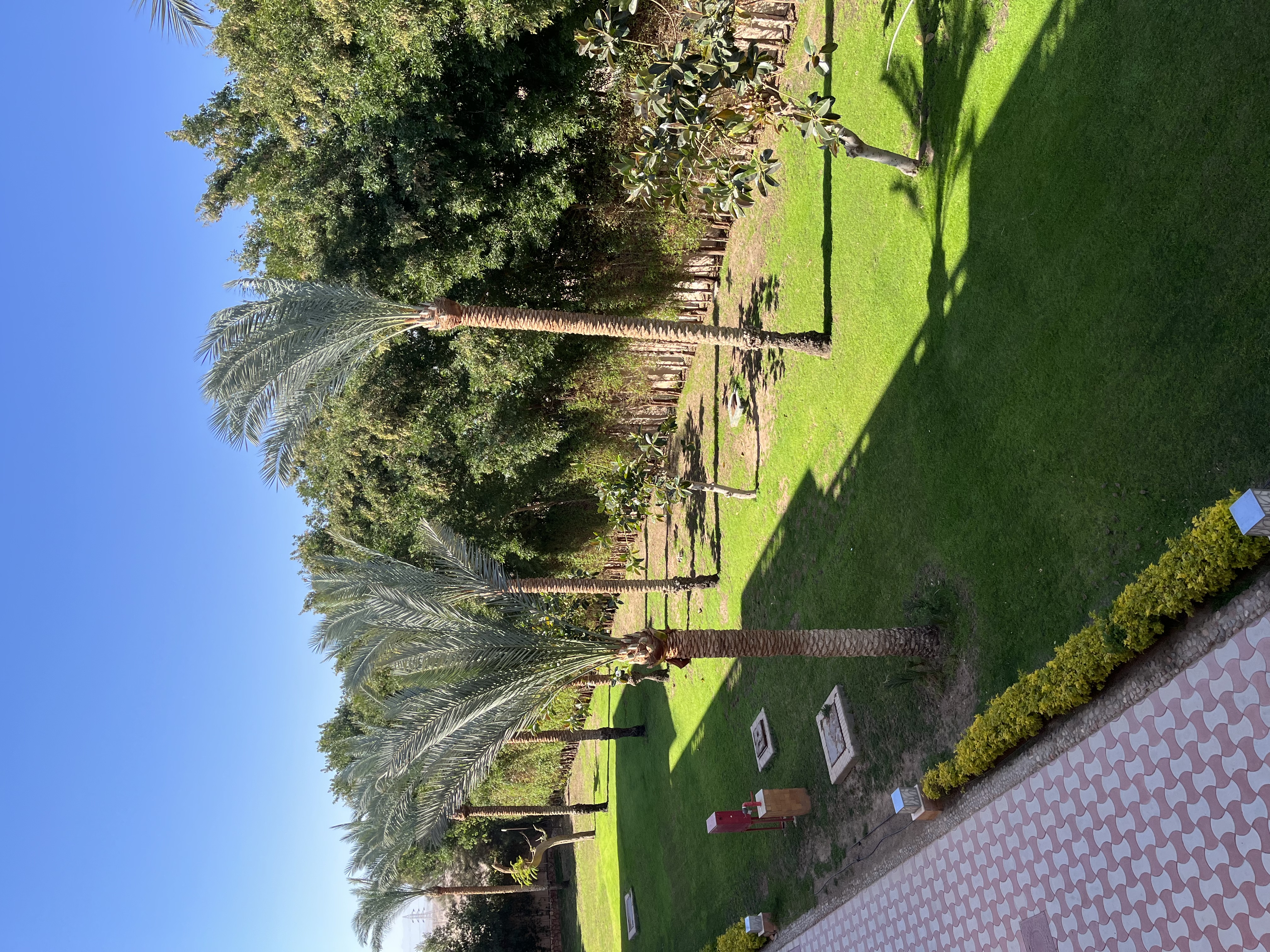 Фото Pickalbatros Aqua Blu Resort