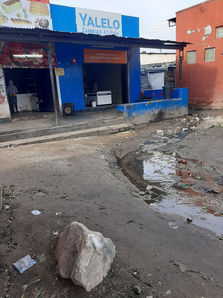 Butcher shop Yalelo Butchery, Lusaka, photo