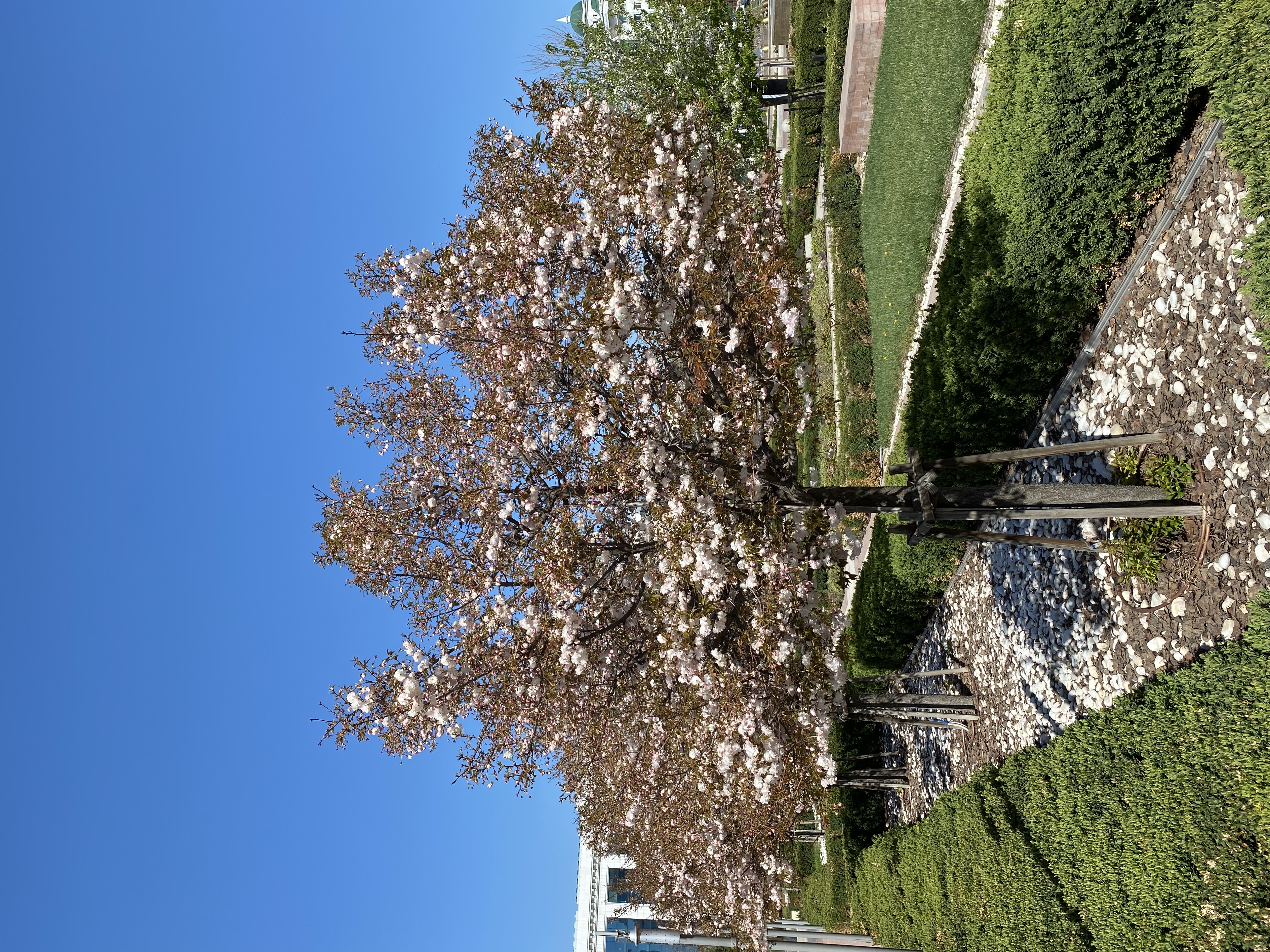 Фото Хаятт Ридженси Ташкент