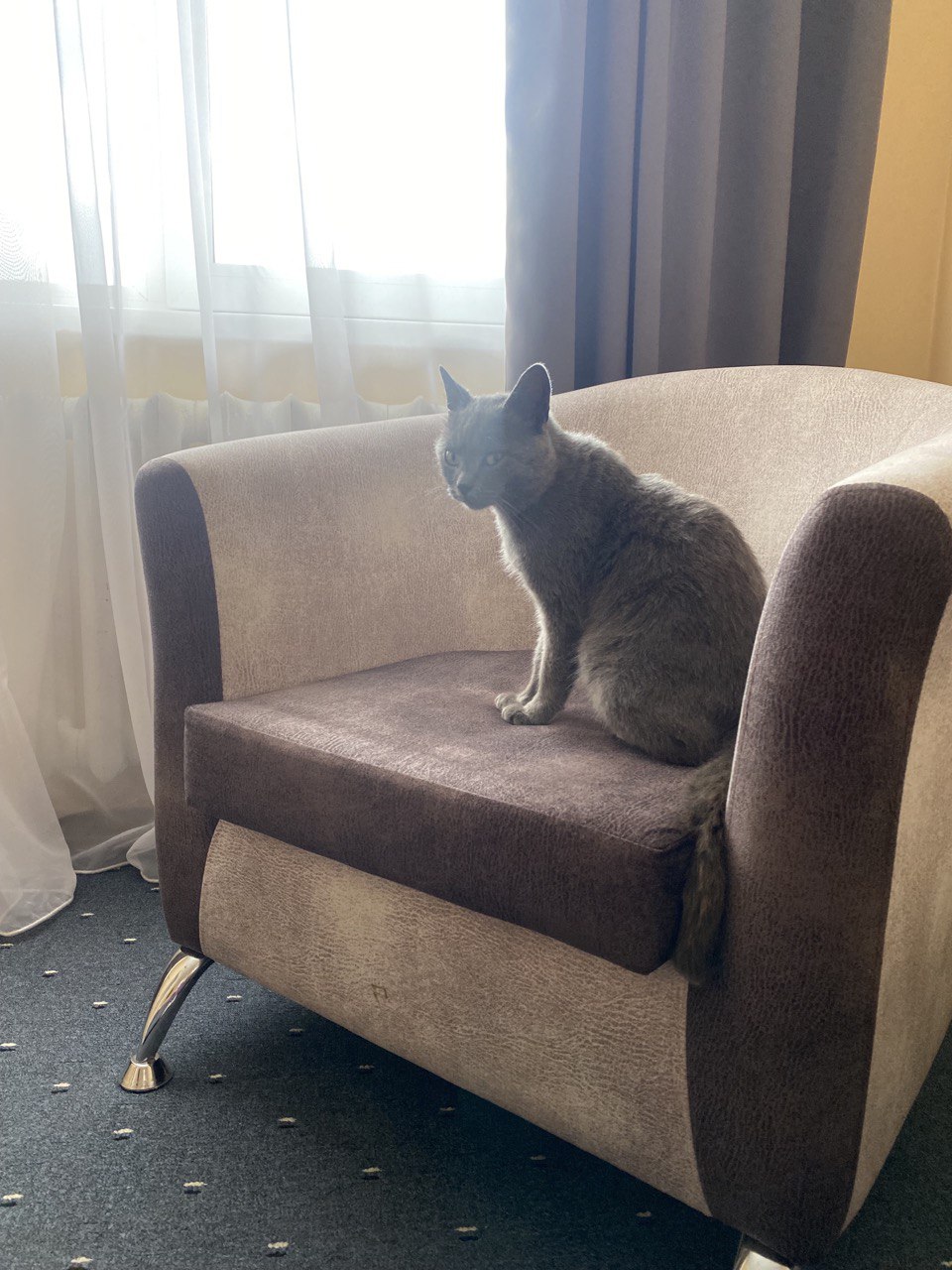 Фото Каньон