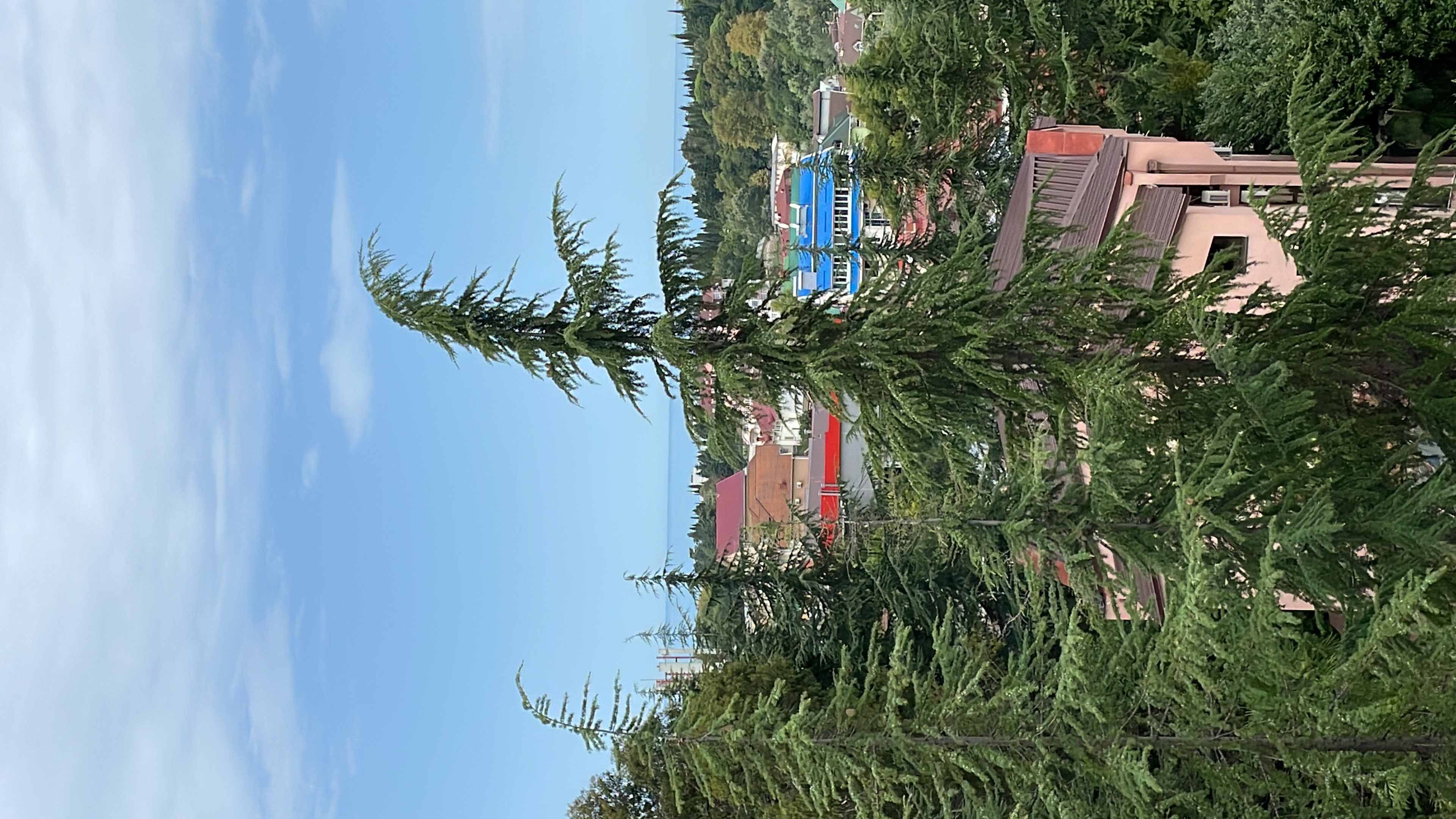 Фото Радуга-Престиж