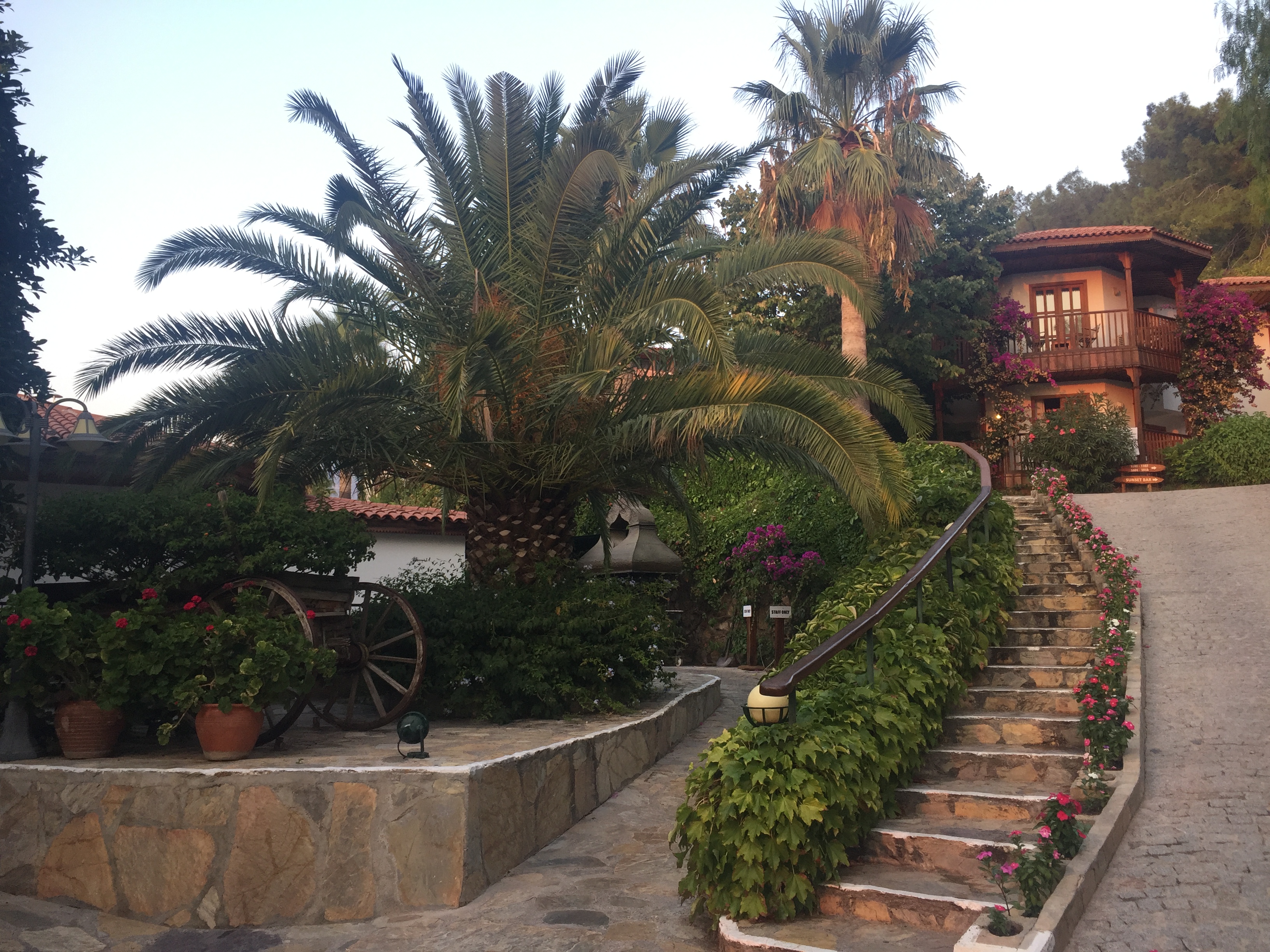 Фото Montana Pine Resort and SPA