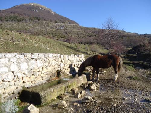 Фото Albergo Del Lago