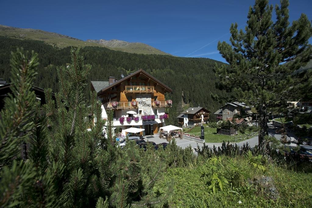 Фото Hotel Vedig