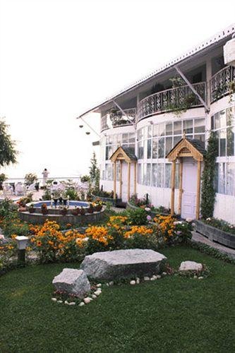 Фото Hotel Mount View