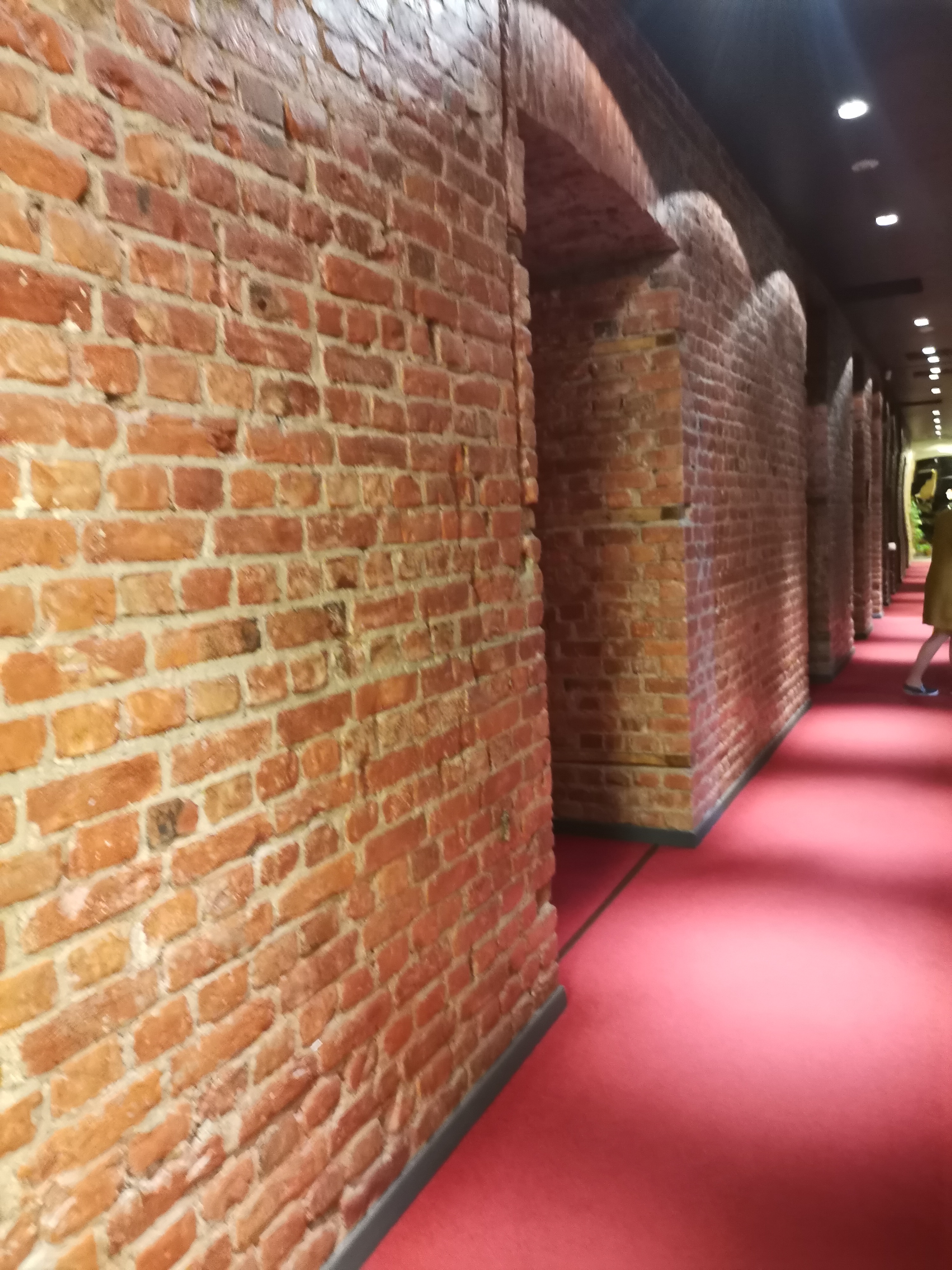 Фото Демократ