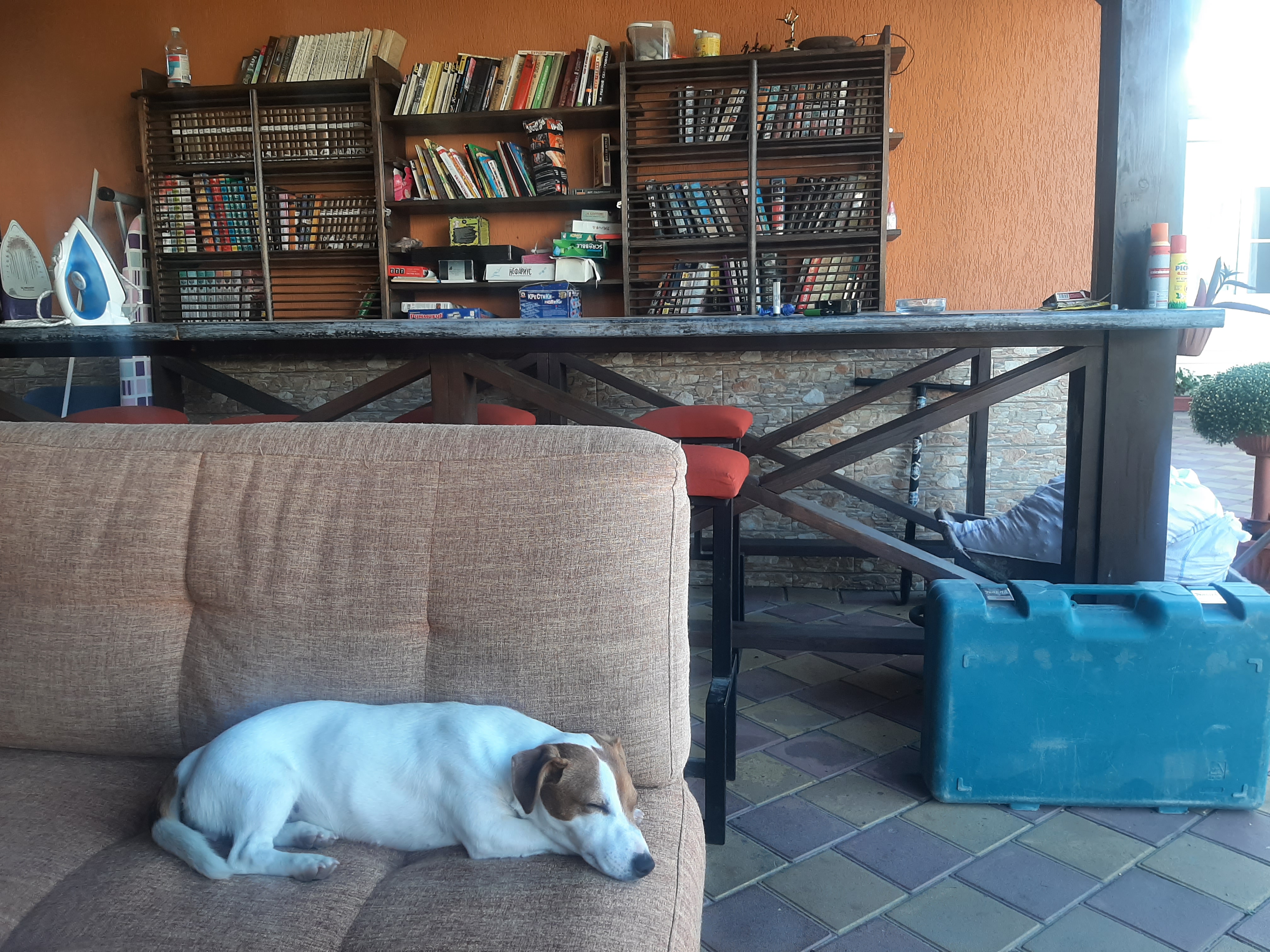 Фото Август