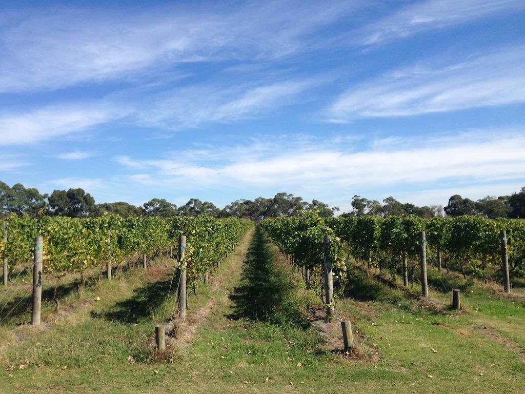 Фото Lakeside Villas at Crittenden Estate