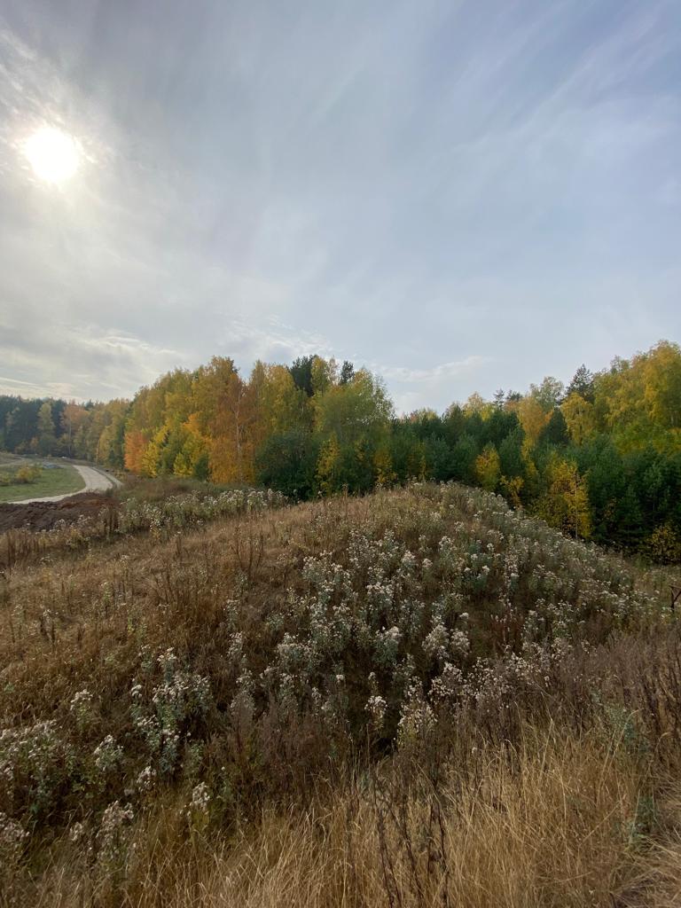 Фото Изумрудная поляна дачи