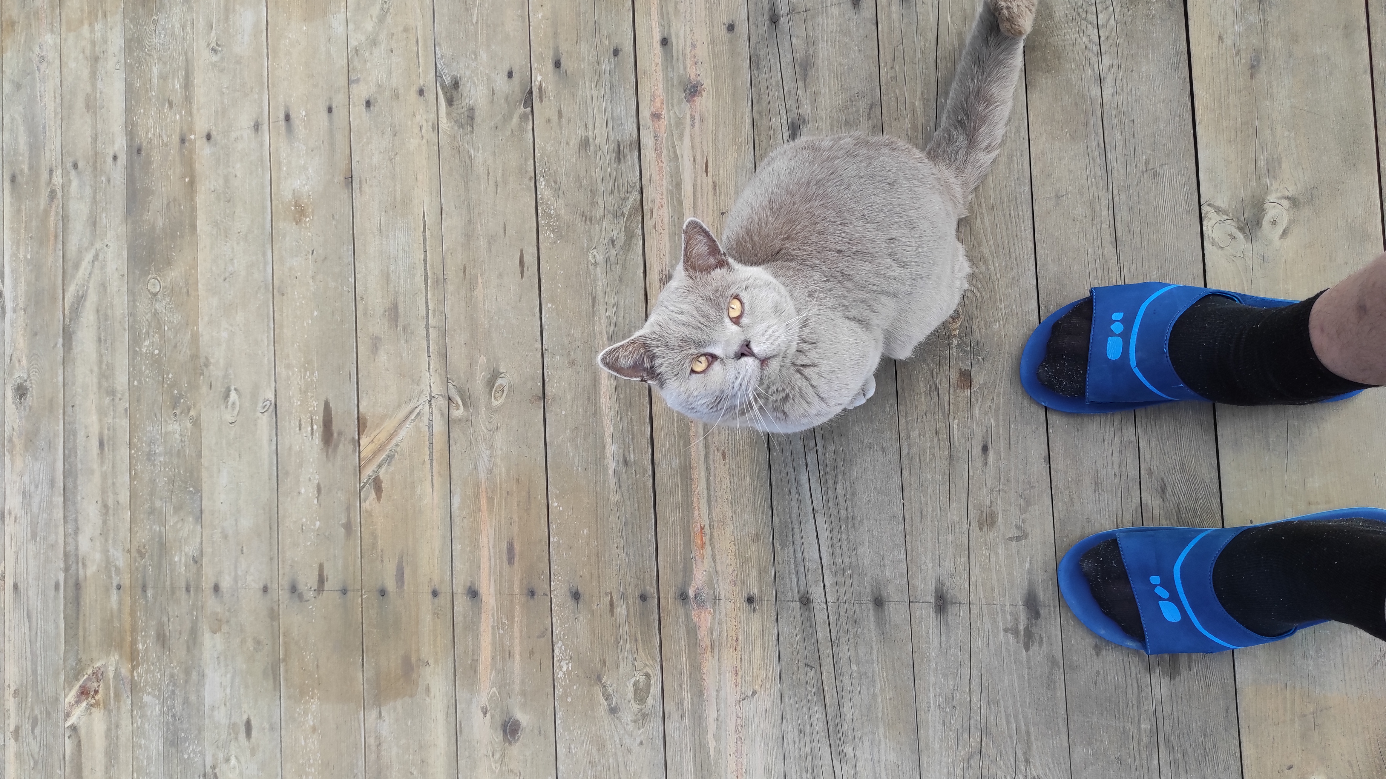 Фото Белкин дом